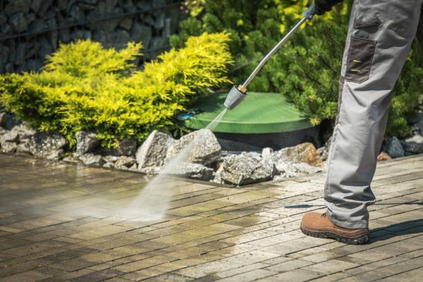 Best Vinyl Siding Pressure Washing in North Kensington, MD